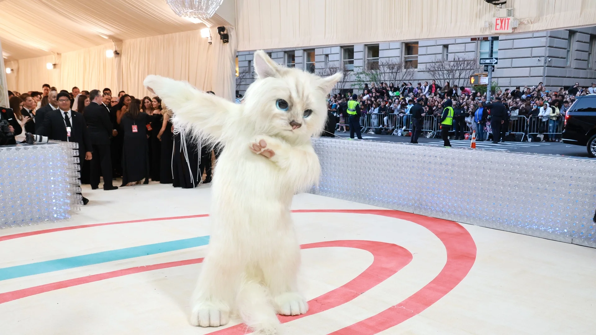 Предстои грандиозният бал на музея "Метрополитън" - Met Gala