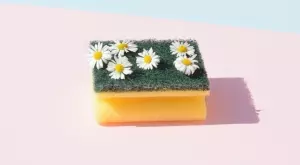 Как да използвате кухненски гъби в градината си