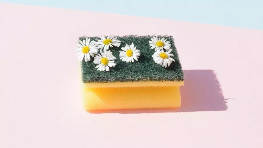 Как да използвате кухненски гъби в градината си