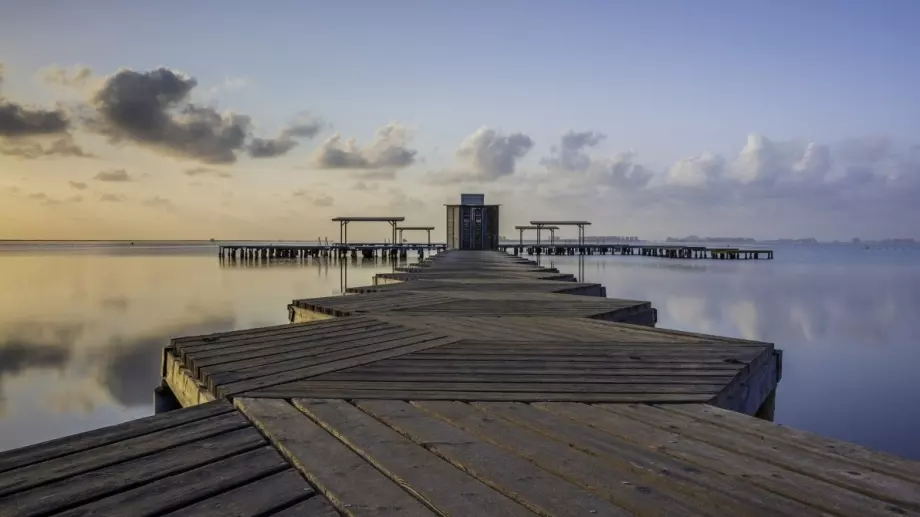 Дават на лагуна правата на юридическо лице. Защо това ще ѝ помогне да оцелее?