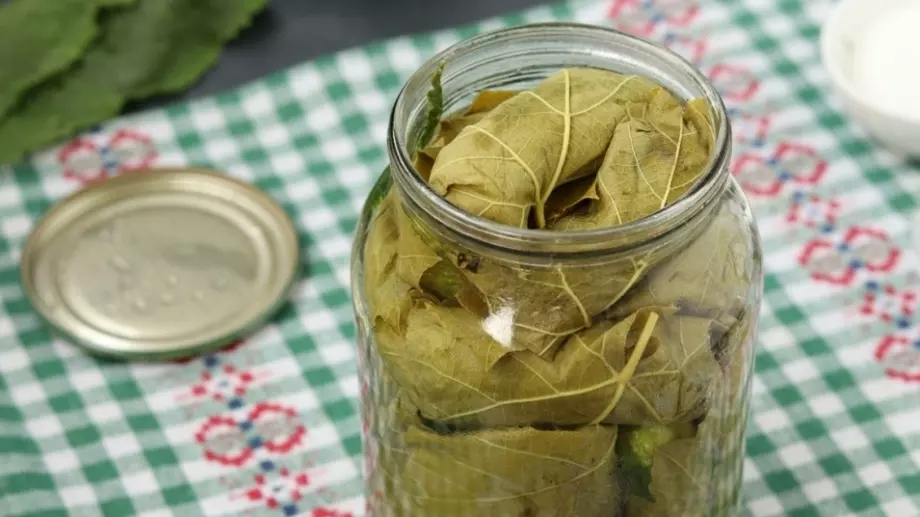 Най-добрият начин да консервирате лозови листа