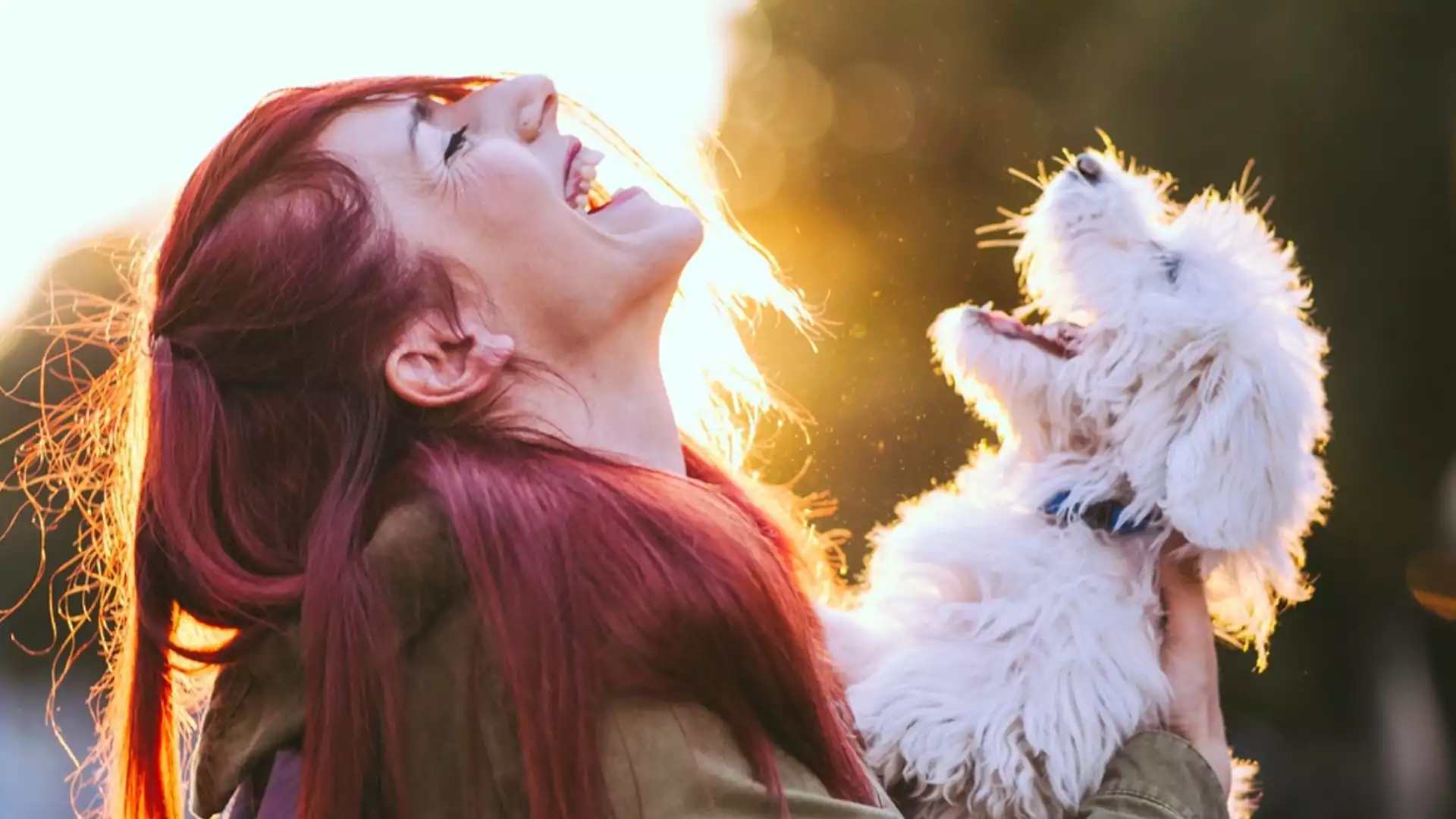 Супер смешен виц за днес, 12 май, 2024 г.: Градския транспорт