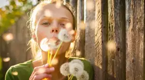 Дневна нумерологична прогноза за 17 май 2024