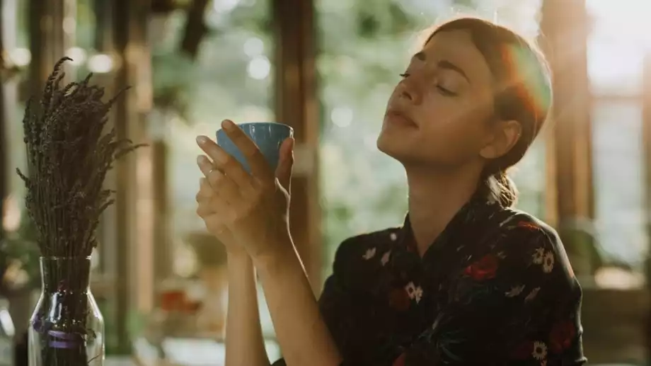 Таро карта за всяка зодия за 17 май 2024