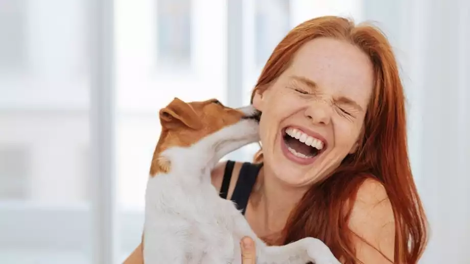 Късметче за всяка за зодия за 20 май 2024