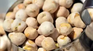 Как да използвате нахут за растеж на растенията в градината