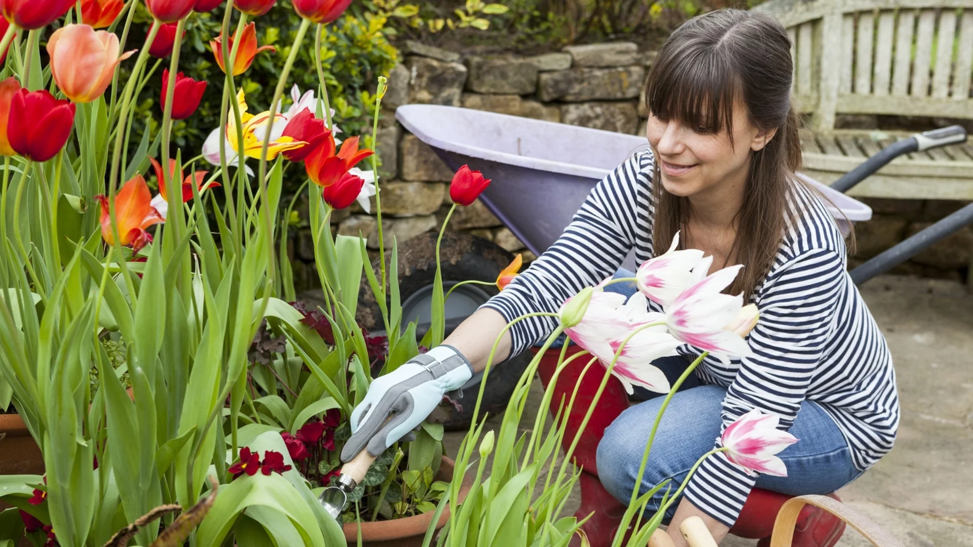 Съвети за избор на градински инструменти