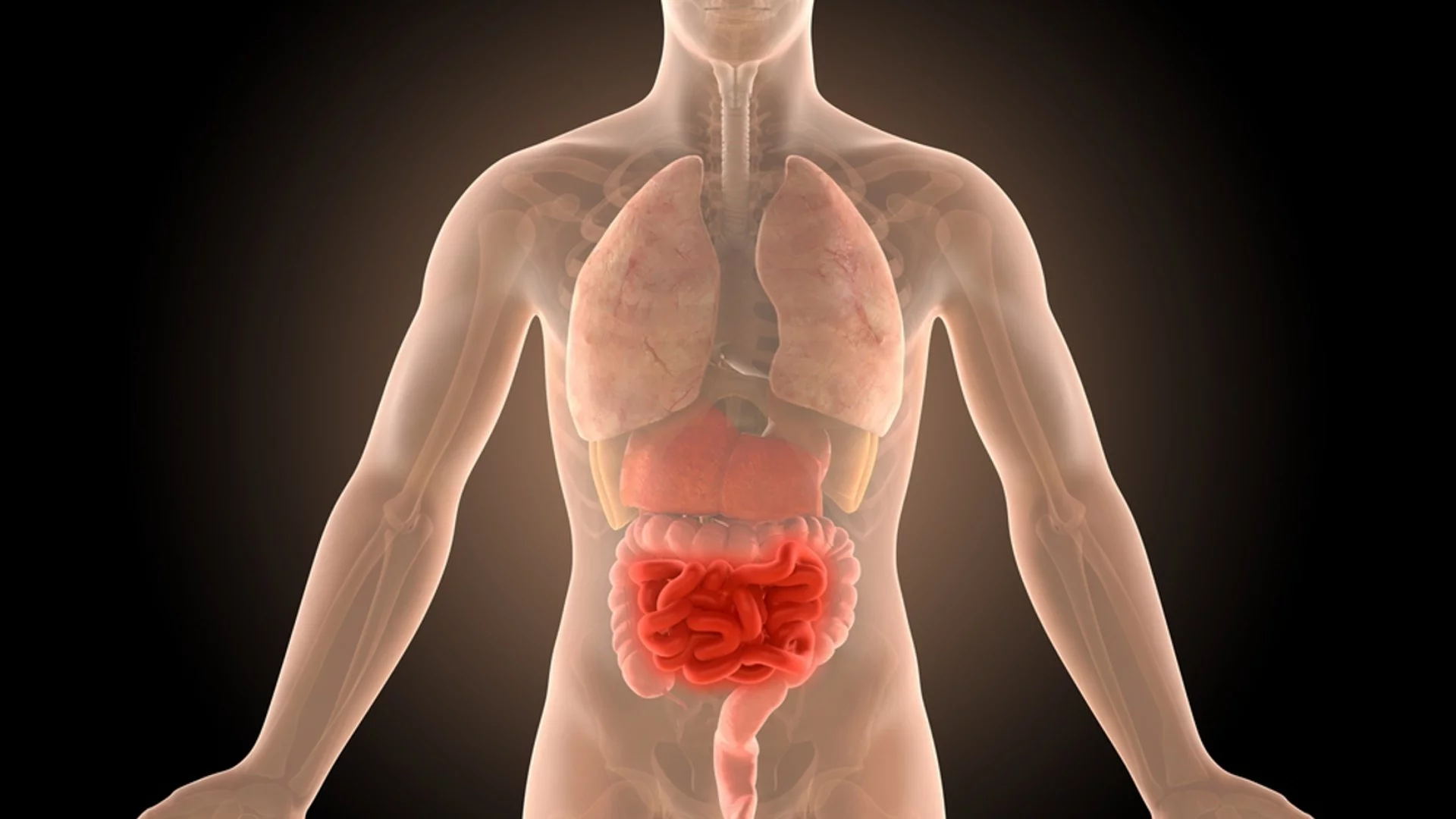 6 навика, които ще накарат червата ви да работят като часовник