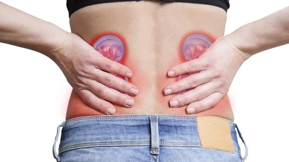 10 признака, че бъбреците ви не работят правилно