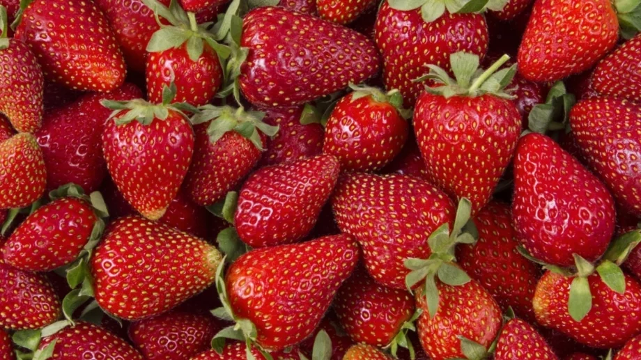 Ягодите ще останат твърди и свежи, ако ги съхранявате така