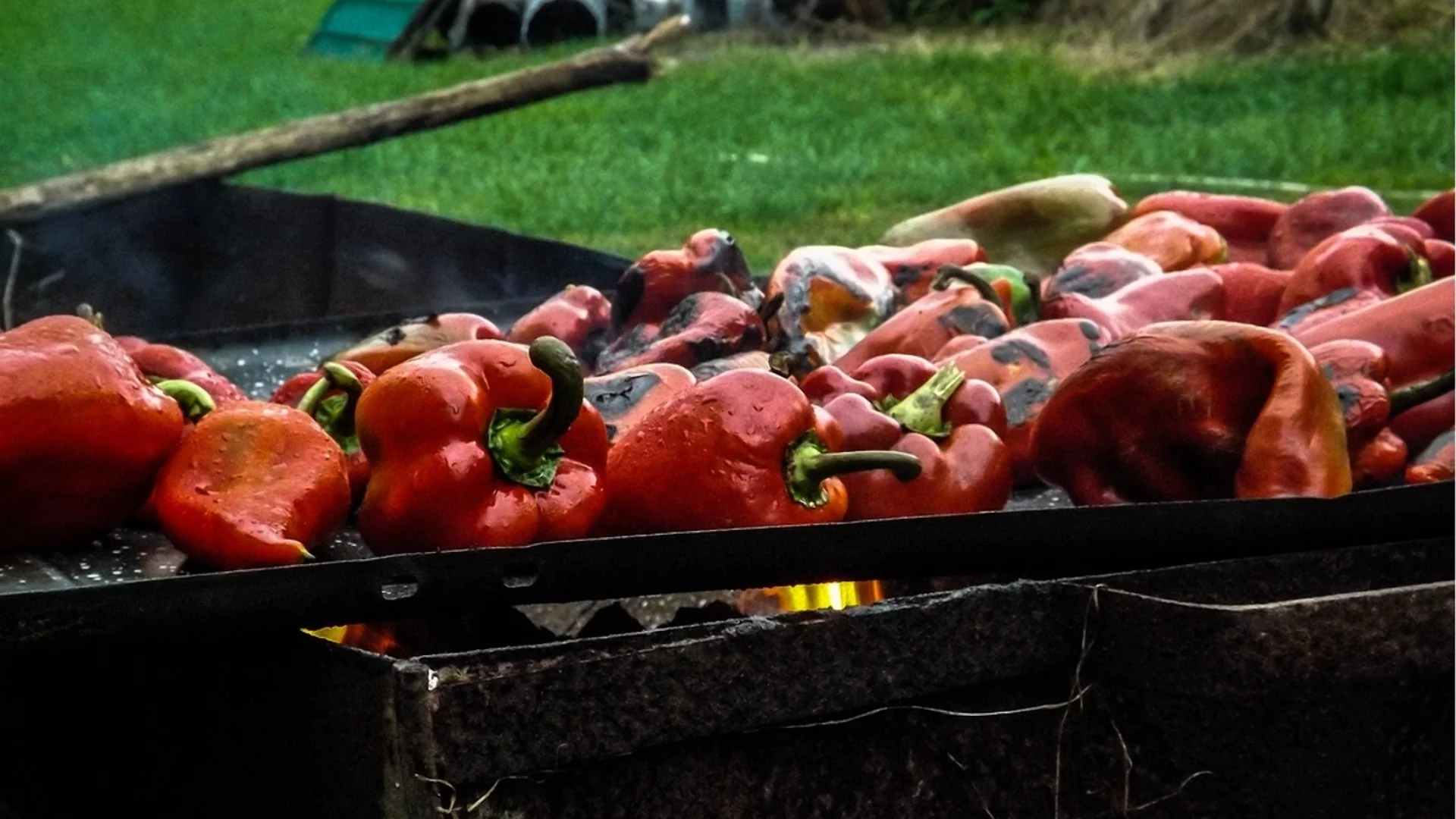 Щастието мирише на печени чушки