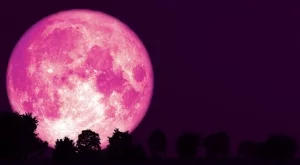 Ягодова луна на 21 юни 2024, какво ще донесе на всяка зодия