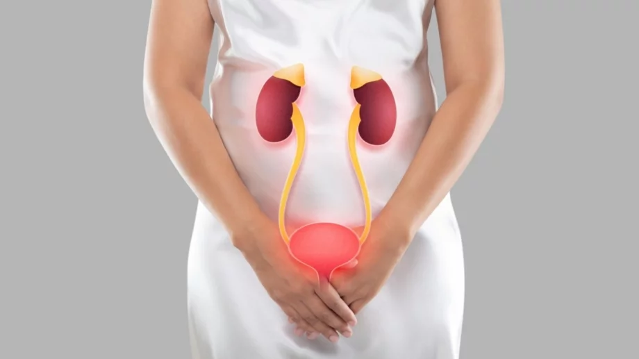 Ако имате тези симптоми, може би имате бъбречна инфекция