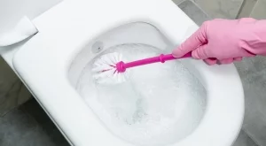 Отстранете варовика от тоалетната - без белина