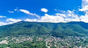 Ледена рисунка на делфин бе наблюдавана на Витоша (СНИМКА)