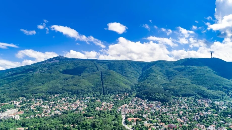 Ледена рисунка на делфин бе наблюдавана на Витоша (СНИМКА)