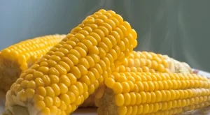 Ето как да си сварите чудна царевица в прясно мляко