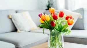 Не подарявайте тези цветя! Ето какво е скритото им значение...