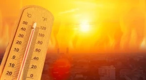 Имате болно сърце? Ето какво да правите в жегите