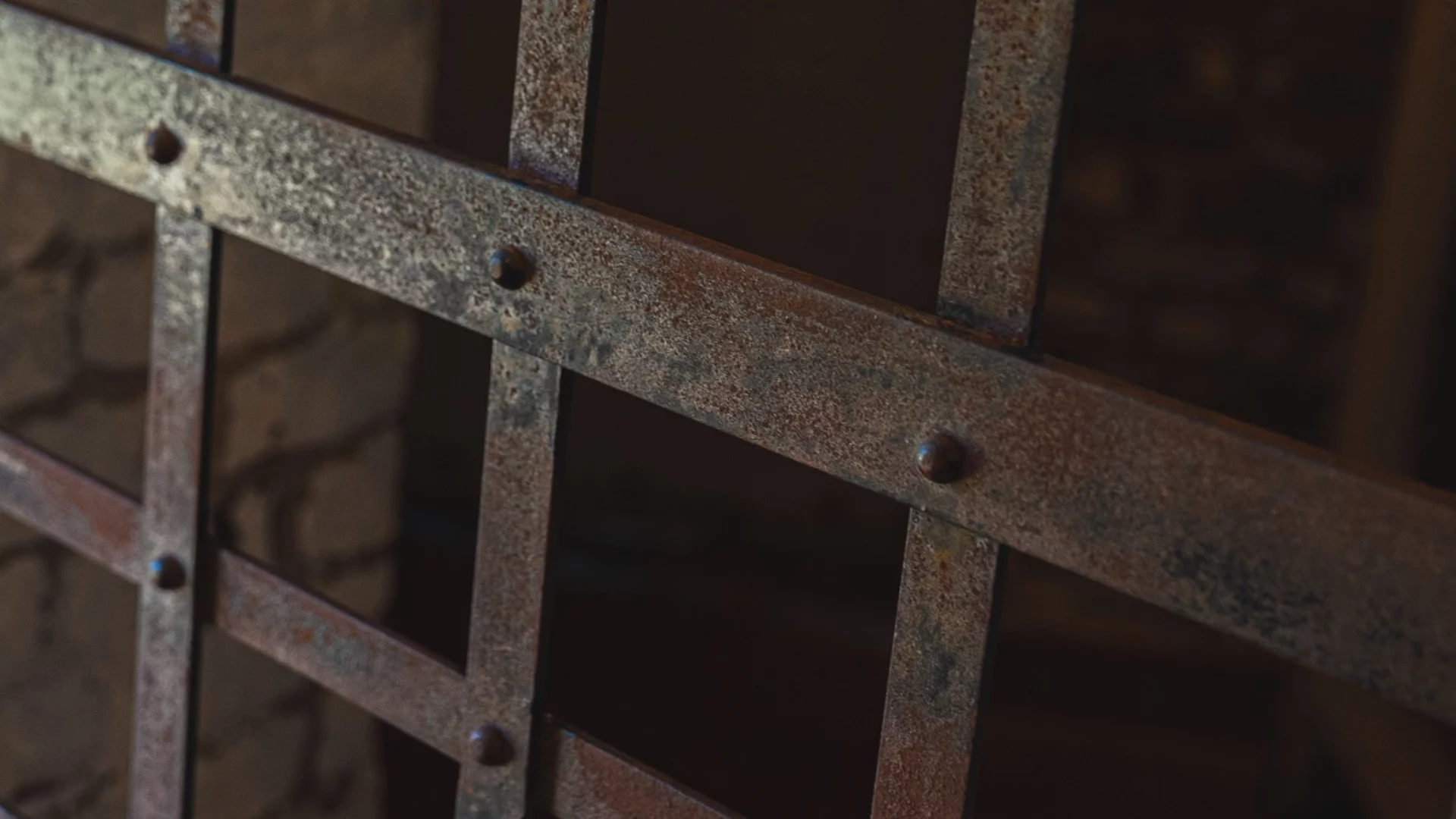 Руснаци изведоха детето си в клетка на колела (ВИДЕО) 18+