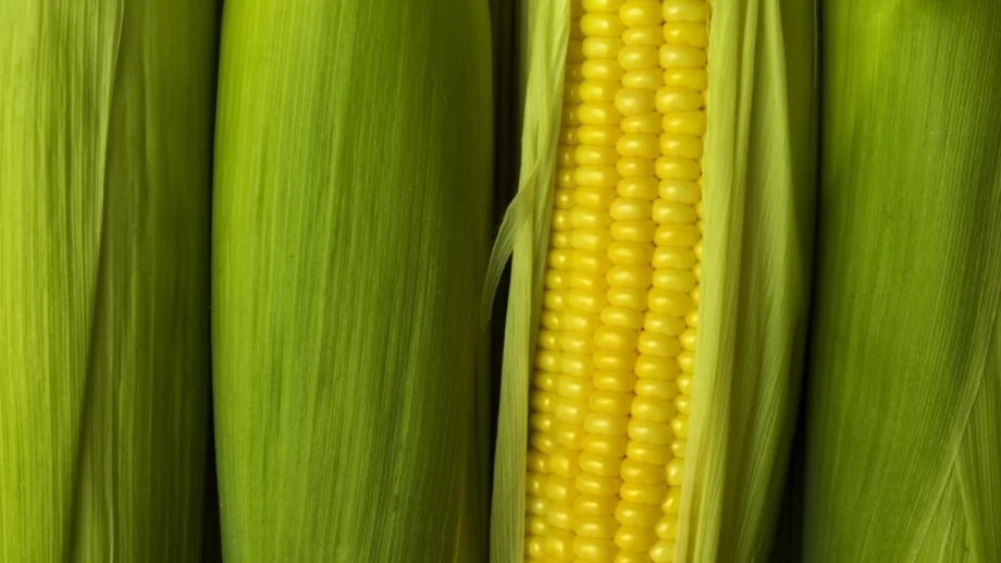 4 начина да приготвите кочан царевица 