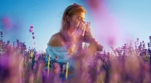 Лавандулата няма да спира да цъфти, ако я подхранвате с това