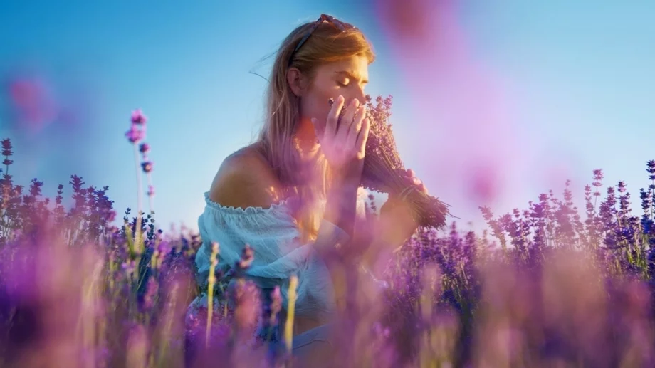 Лавандулата няма да спира да цъфти, ако я подхранвате с това