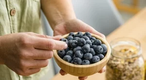 Каква е разликата между дивата и култивираната боровинка