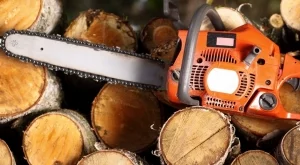 2024/08/05/0f6a27092c72bd3c63a33359d869ac46