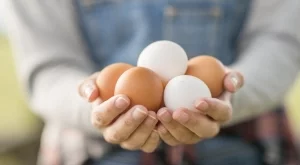 5 грешки, които допускате, когато съхранявате яйца