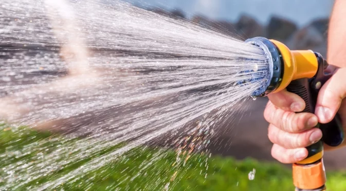 4 мита за поливането на растенията, в които не трябва да вярвате