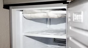 Пълно ръководство за бързо размразяване на хладилник