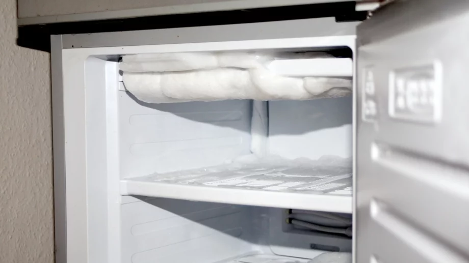 Пълно ръководство за бързо размразяване на хладилник