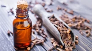 Ползи за здравето от карамфиловото масло 