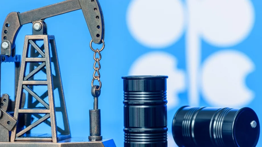 Трудна дилема за страните от ОПЕК