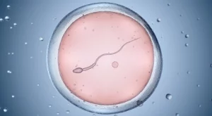 5 изненадващи факта за плодовитостта