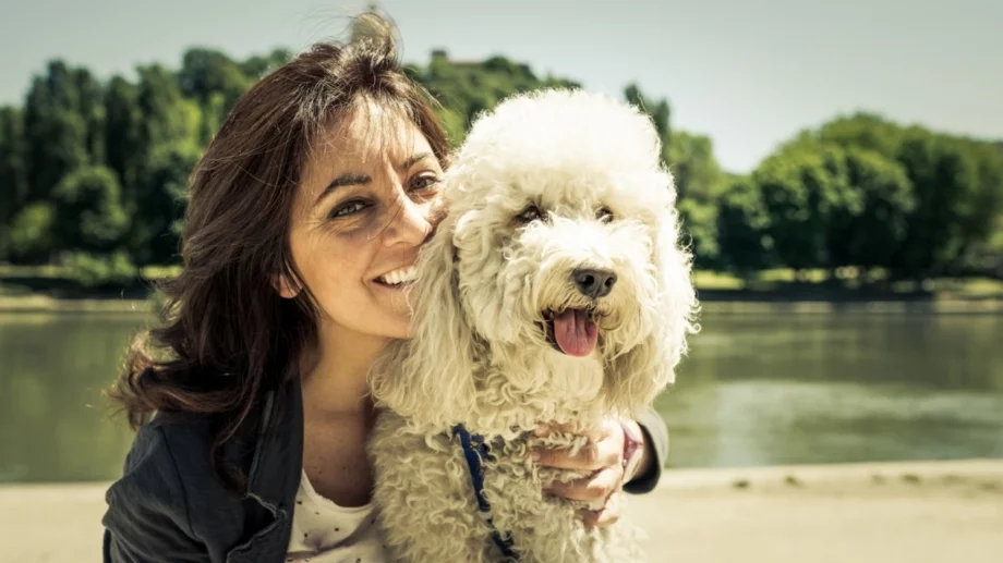 6 факти за кучетата, които ще променят начина, по който гледате на тях