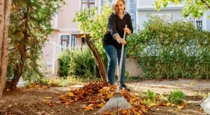 5 неща, които трябва да направите във вашата градина през есента