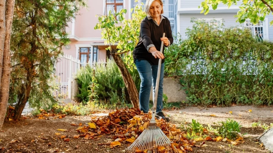 5 неща, които трябва да направите във вашата градина през есента