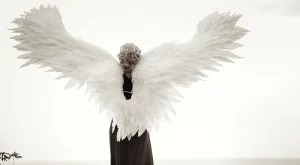 4-те архетипа на земни ангели – кой сте вие?