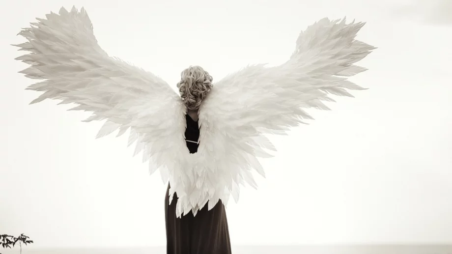 4-те архетипа на земни ангели – кой сте вие?