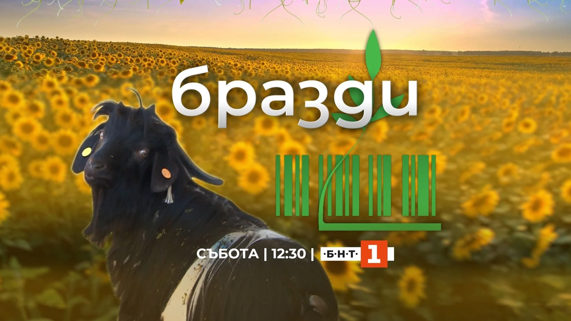 "Бразди" се завръща за 62-ри сезон и с по-дълго времетраене (ВИДЕО)