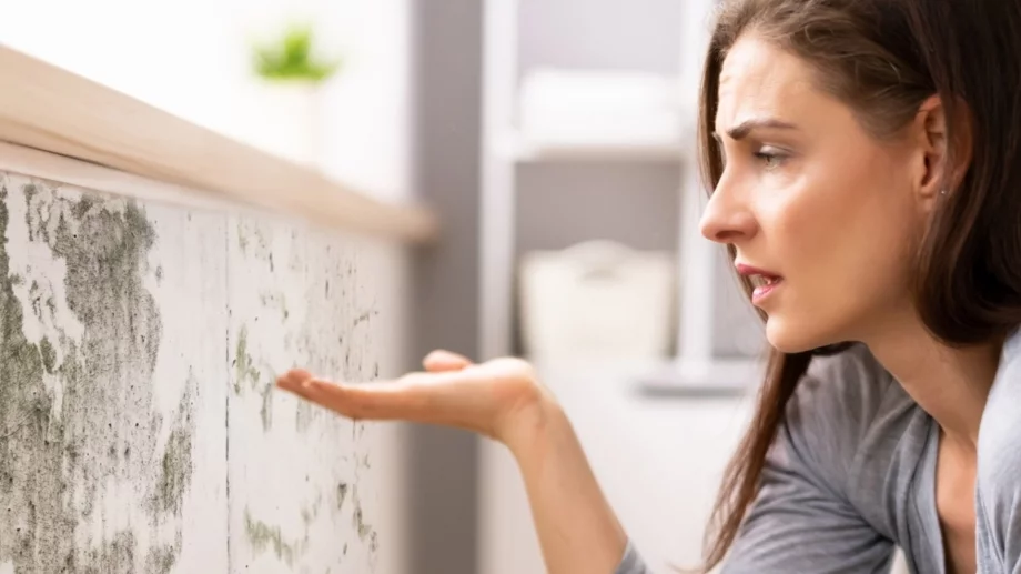 Плесенните акари може да се крият в дома ви – ето как да се отървете от тях