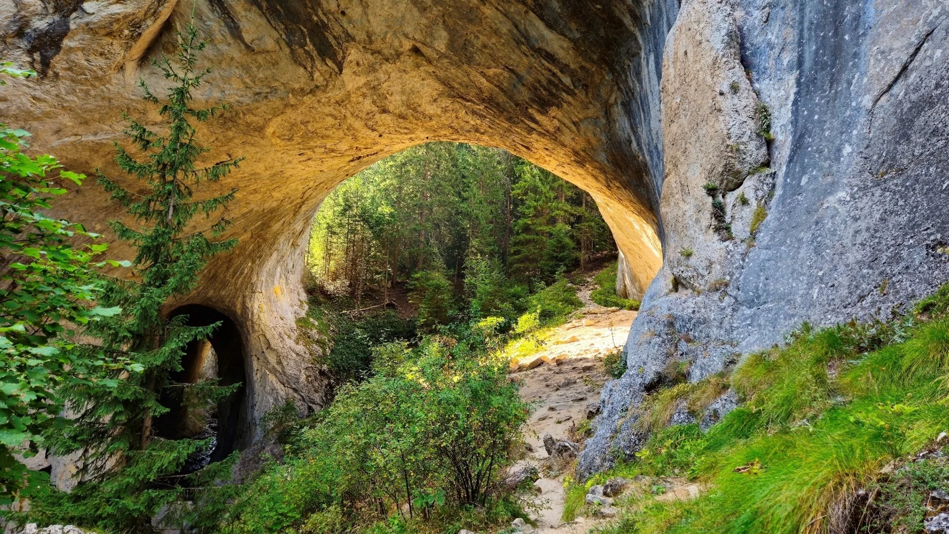 Няколко дни край Пампорово – големи телескопи, фокуси и музей, в който те черпят с круши   