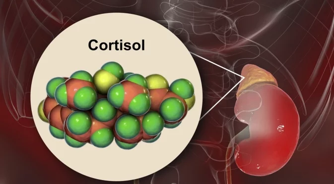 Лекар: Какви са симптомите на висок кортизол и кои органи поразява