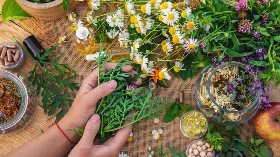 5 билки за баланс на женските хормони