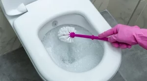 Премахнете варовика от тоалетната с един естествен продукт, по-ефективен от белината