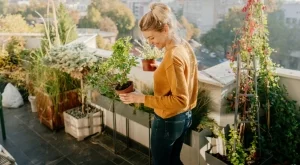 6 грешки, които трябва да избягвате, когато внасяте растенията вътре за зимата