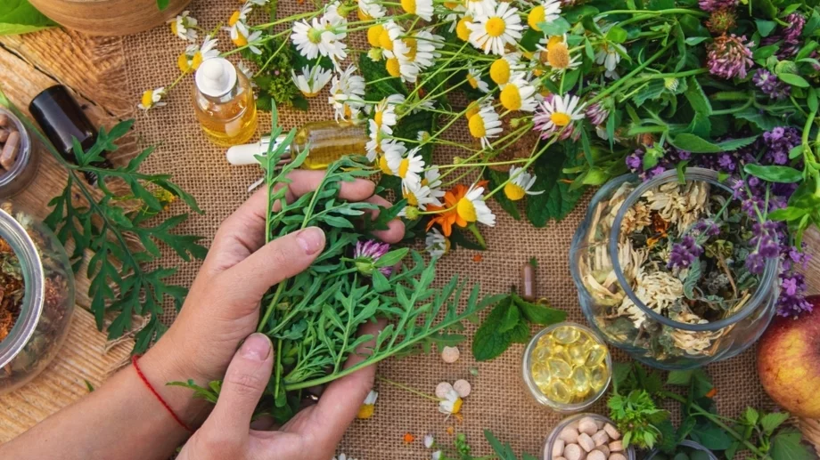 7 билки за понижаване на кръвната захар по естествен път