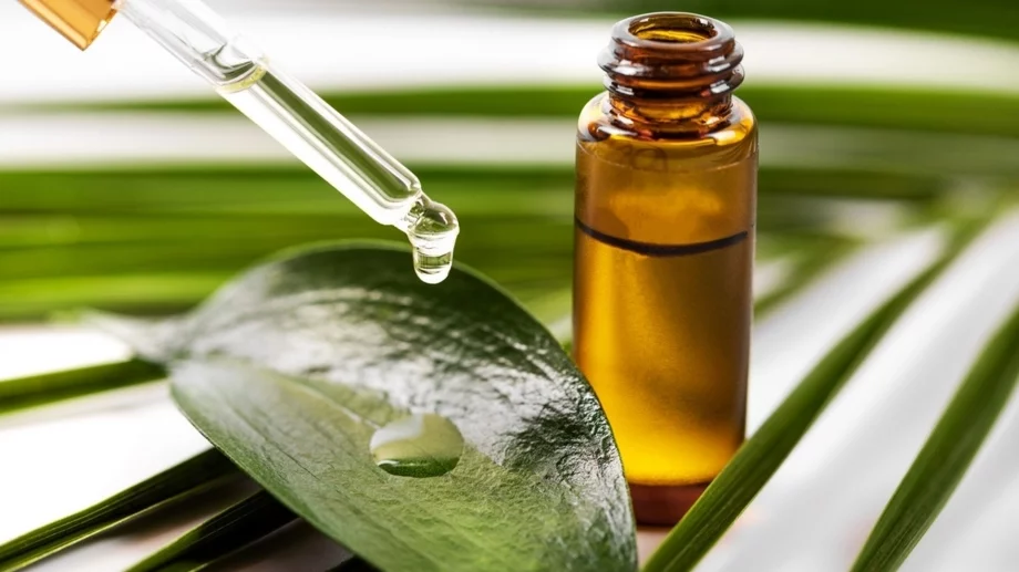 Как да използвате масло от чаено дърво във вашата рутина за красота